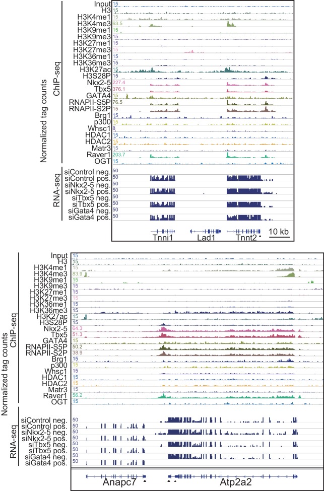 Figure 1—figure supplement 5.