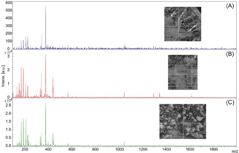 Figure 2: