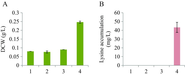 Fig. 7