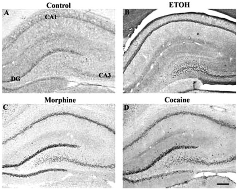 Fig. 9