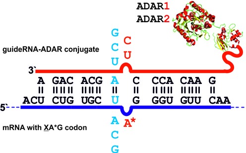 Figure 2.