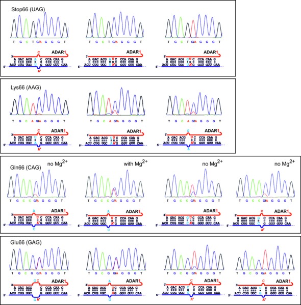 Figure 4.