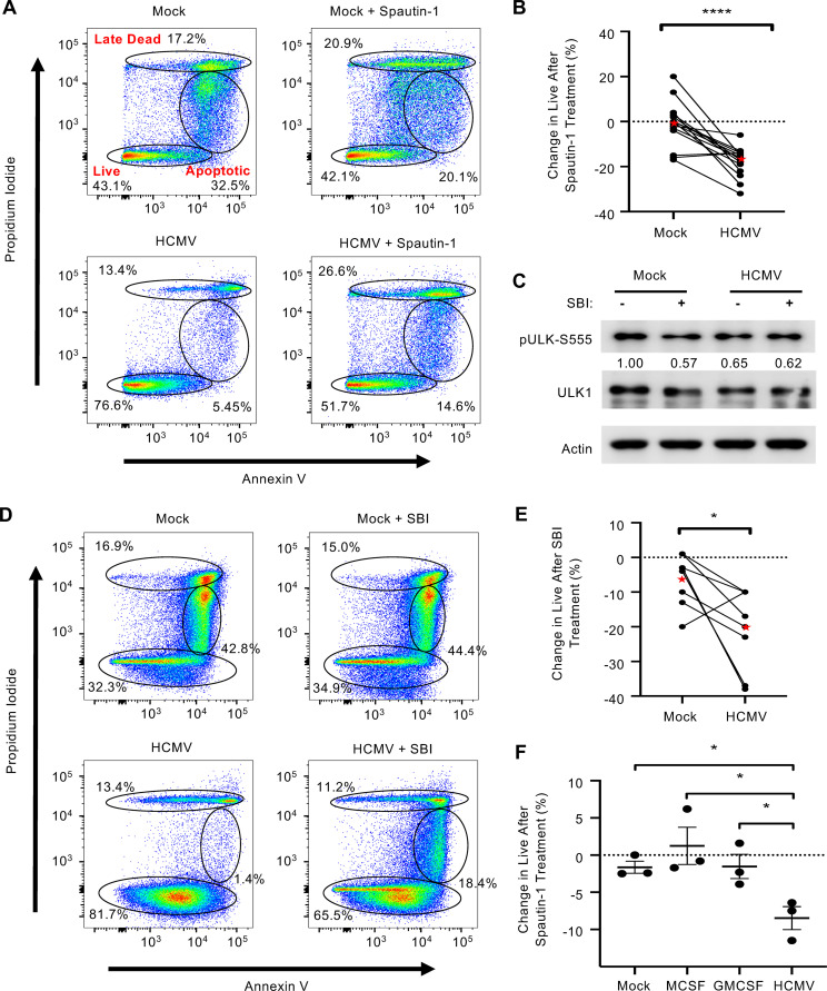 FIG 3