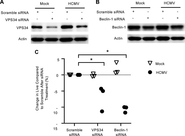 FIG 4