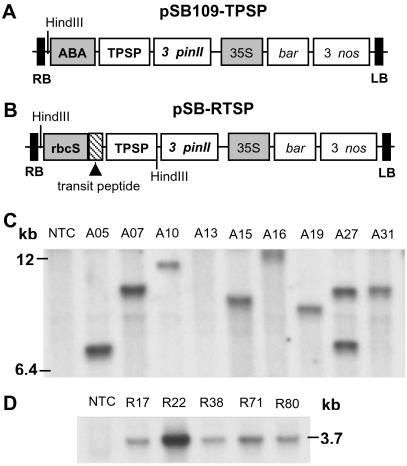 Fig 1.