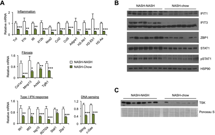 Figure 6