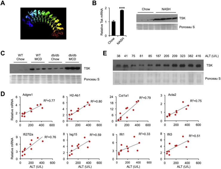 Figure 4