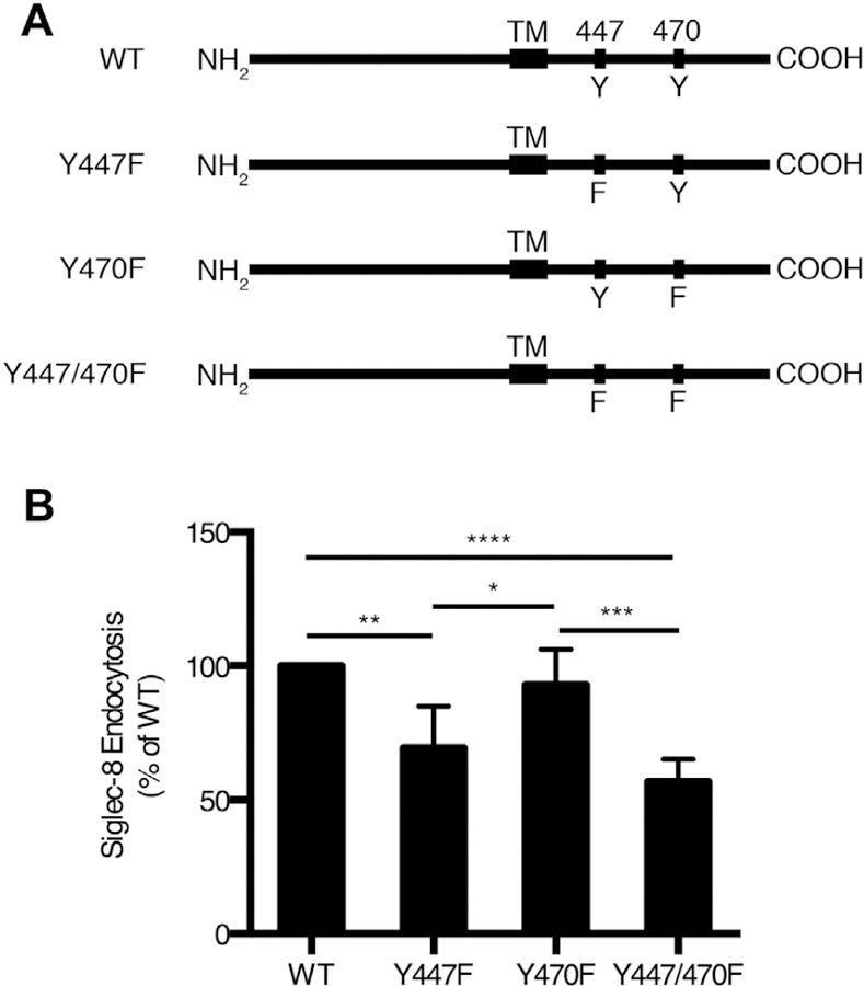 FIG 3.