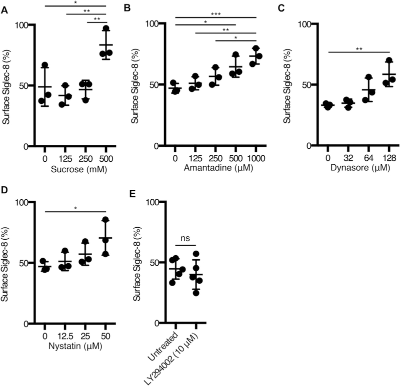 FIG 2.