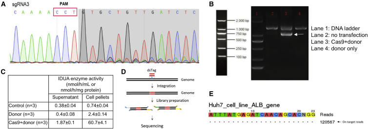 Figure 6