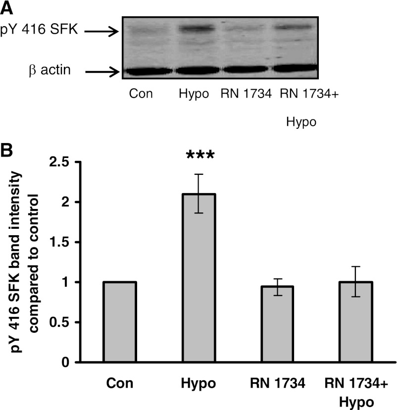 Fig. 9.