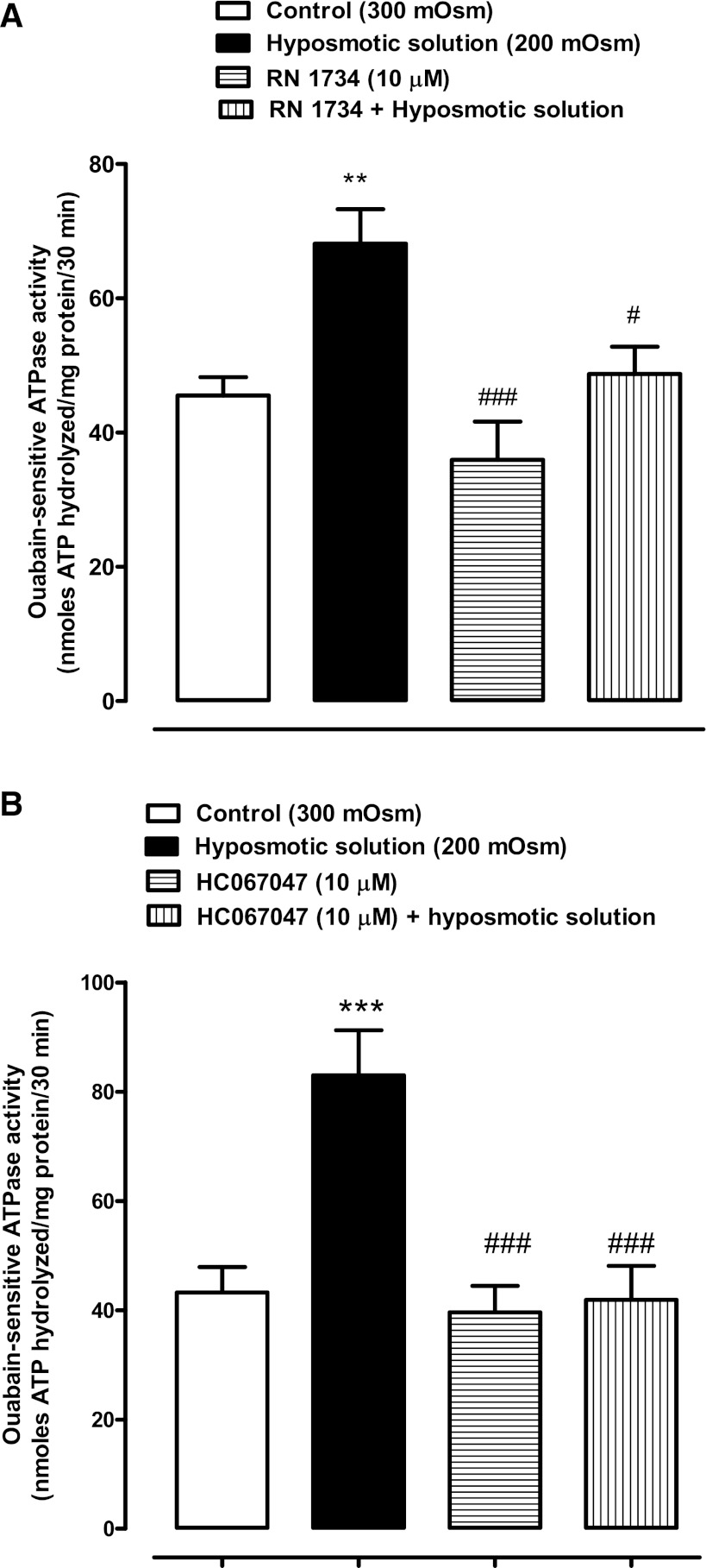 Fig. 8.