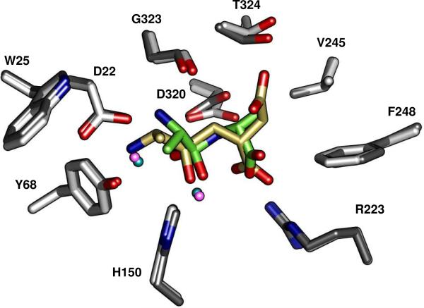 Figure 10