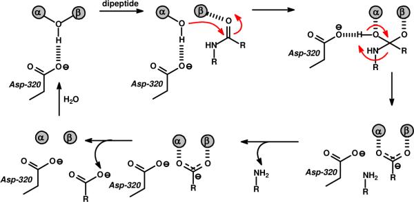 Scheme 3