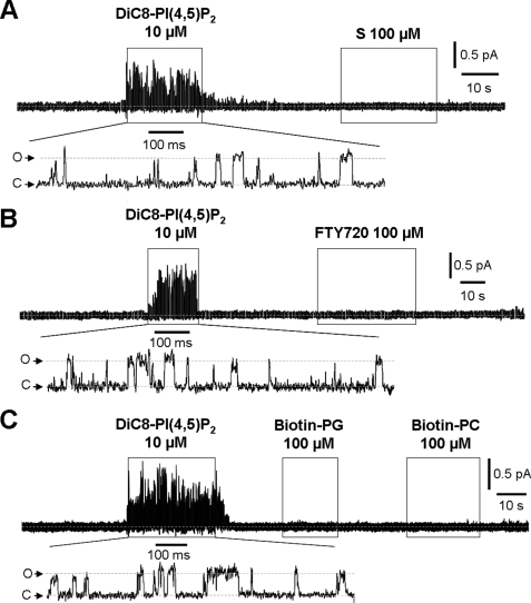 FIGURE 7.