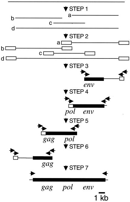 FIG. 1.