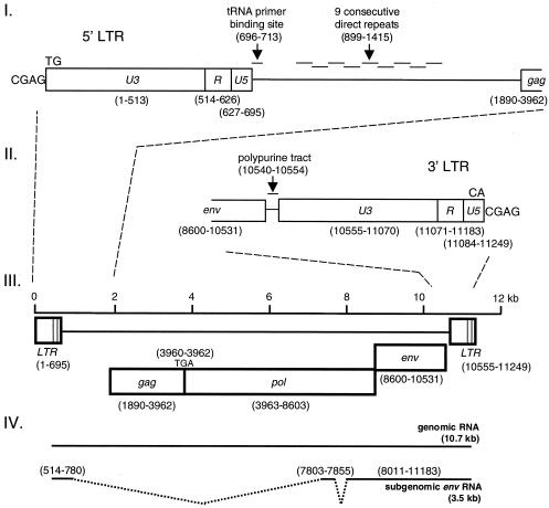 FIG. 2.