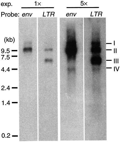 FIG. 6.