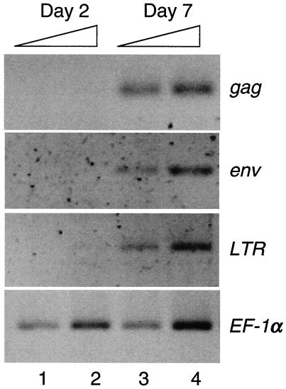 FIG. 8.