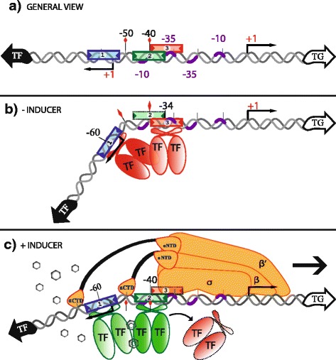 Fig. 10