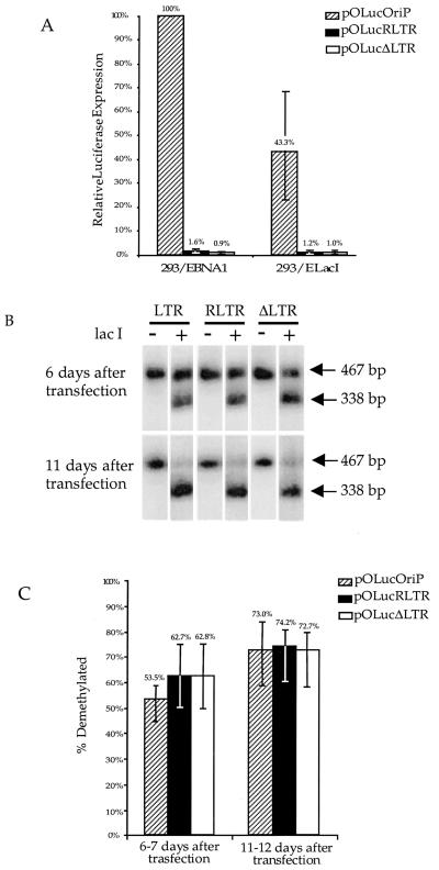 FIG. 7