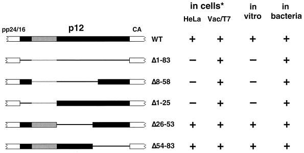 FIG. 7