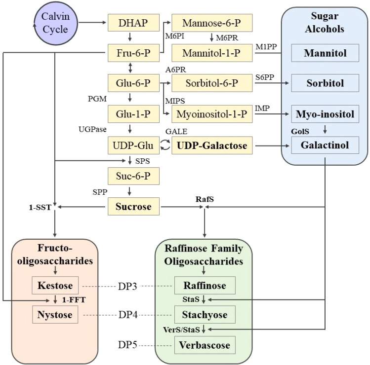 Figure 1