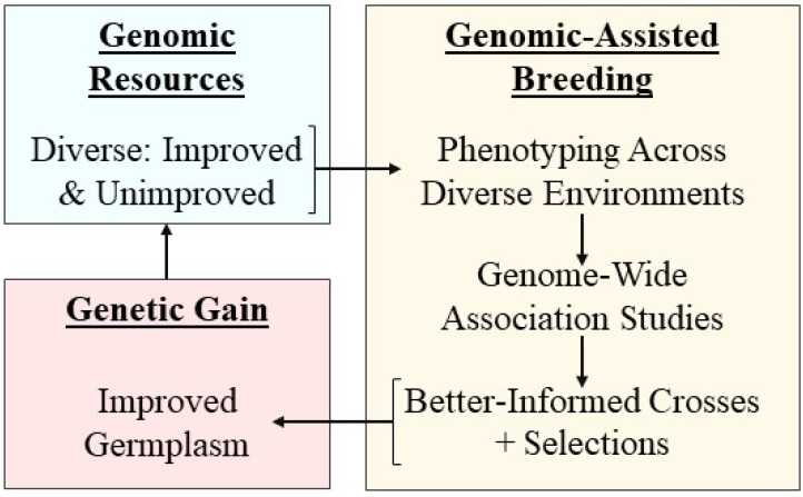 Figure 3