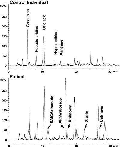 Figure  2