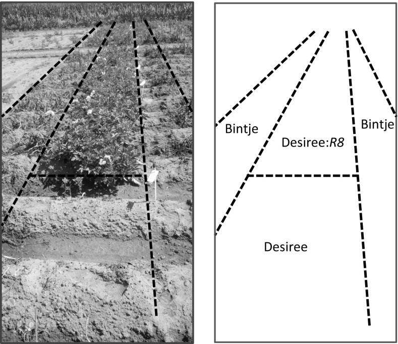 Fig. 3