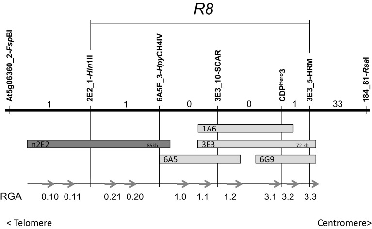 Fig. 1