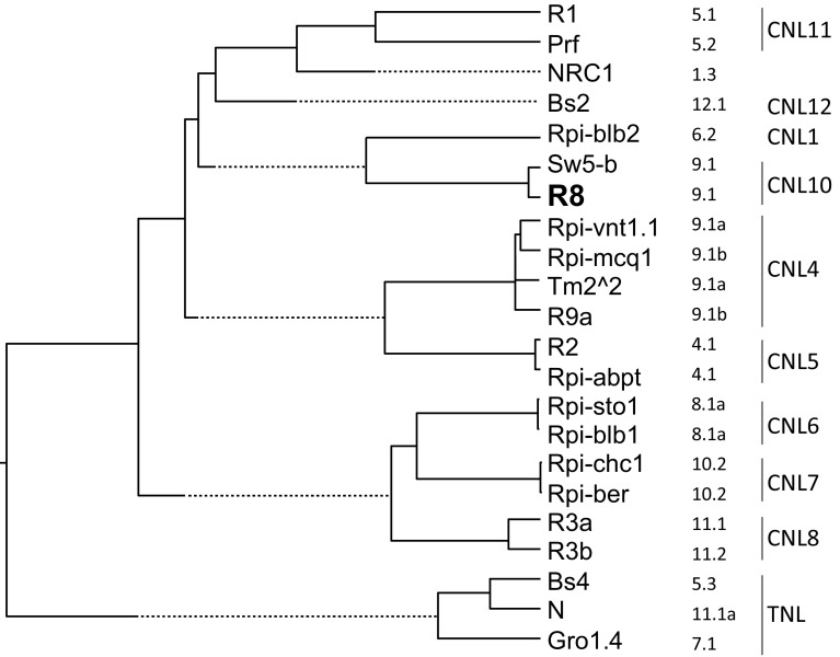 Fig. 5