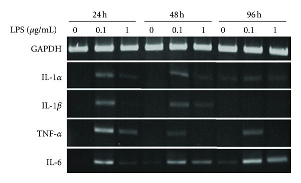 Figure 7