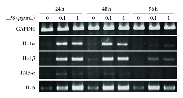 Figure 5