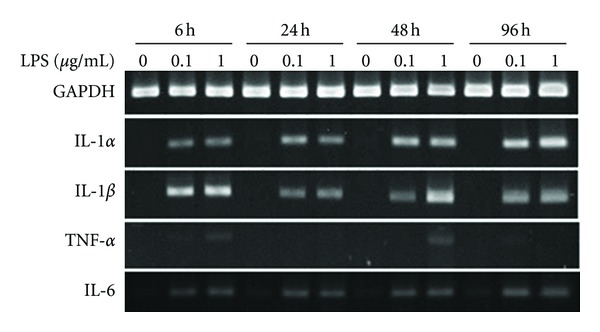 Figure 6