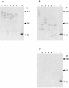 FIG. 6.