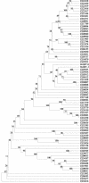 FIG.2.