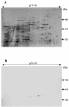 FIG. 7.