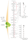 Extended Data Figure 7