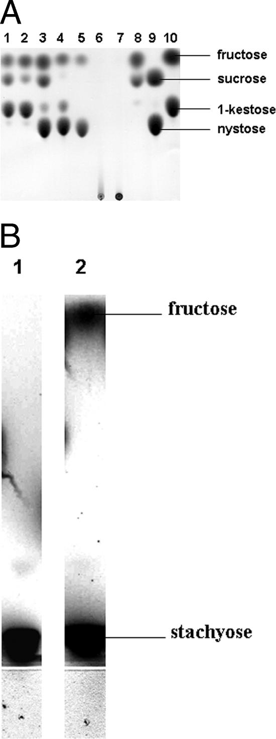 FIG. 5.