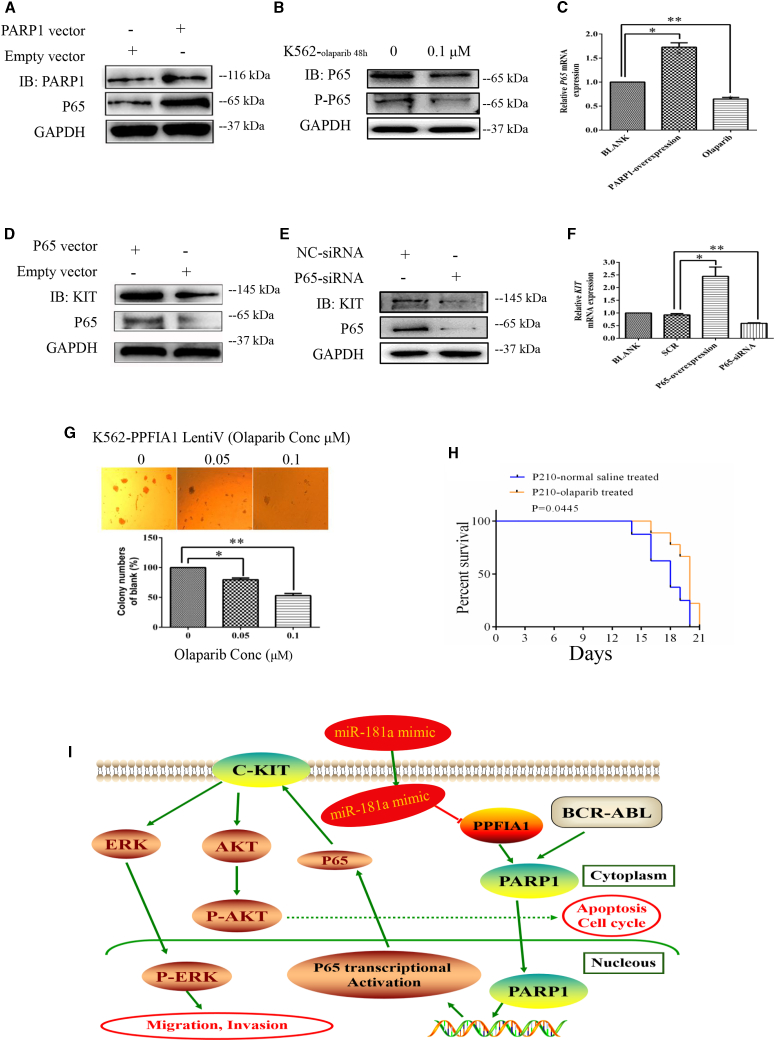 Figure 6