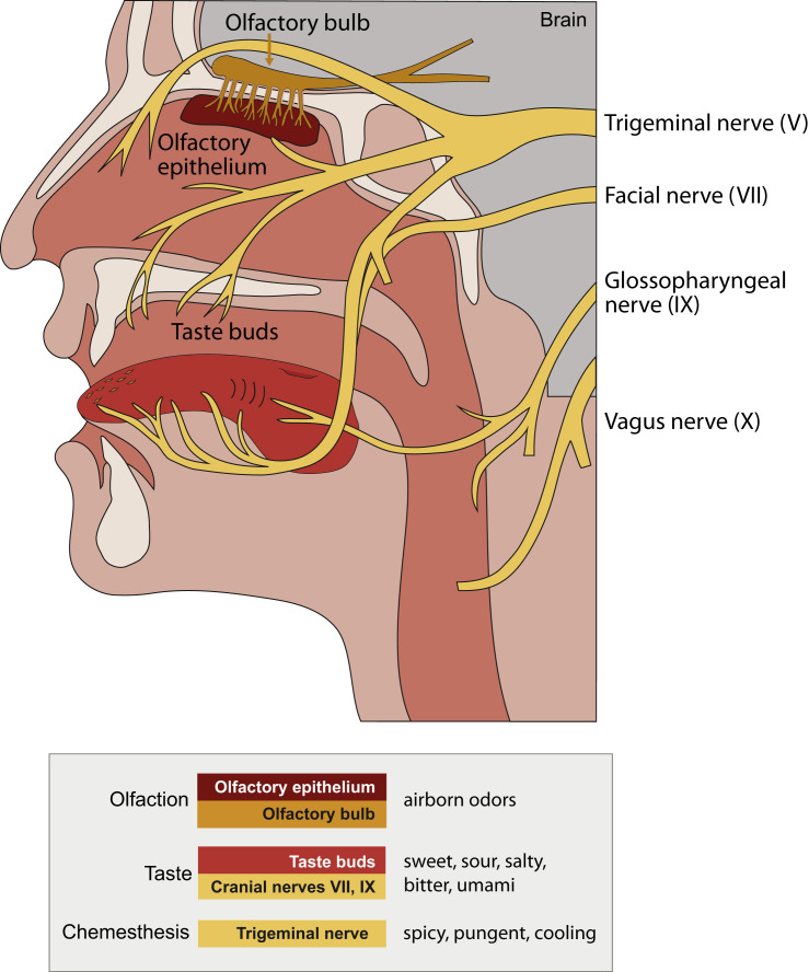 Figure 1