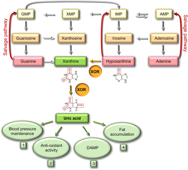 Fig. 2