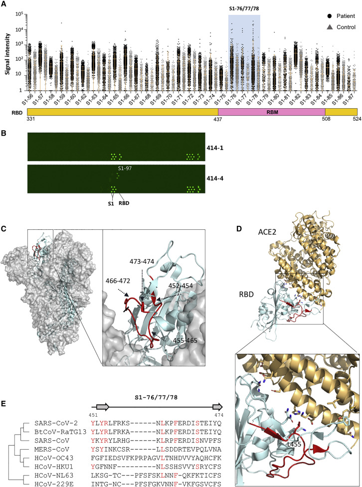 Figure 4