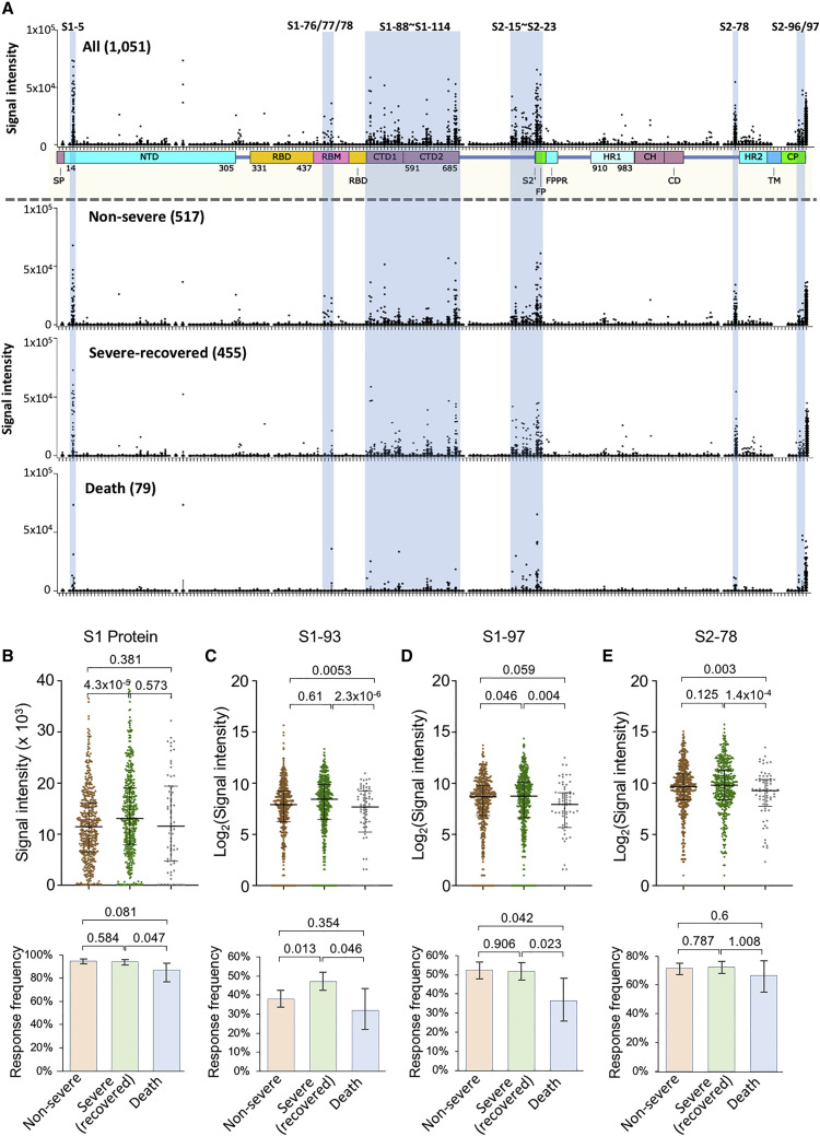 Figure 3