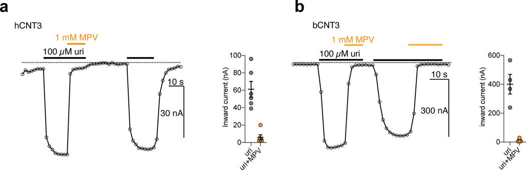 Extended Data Fig. 5