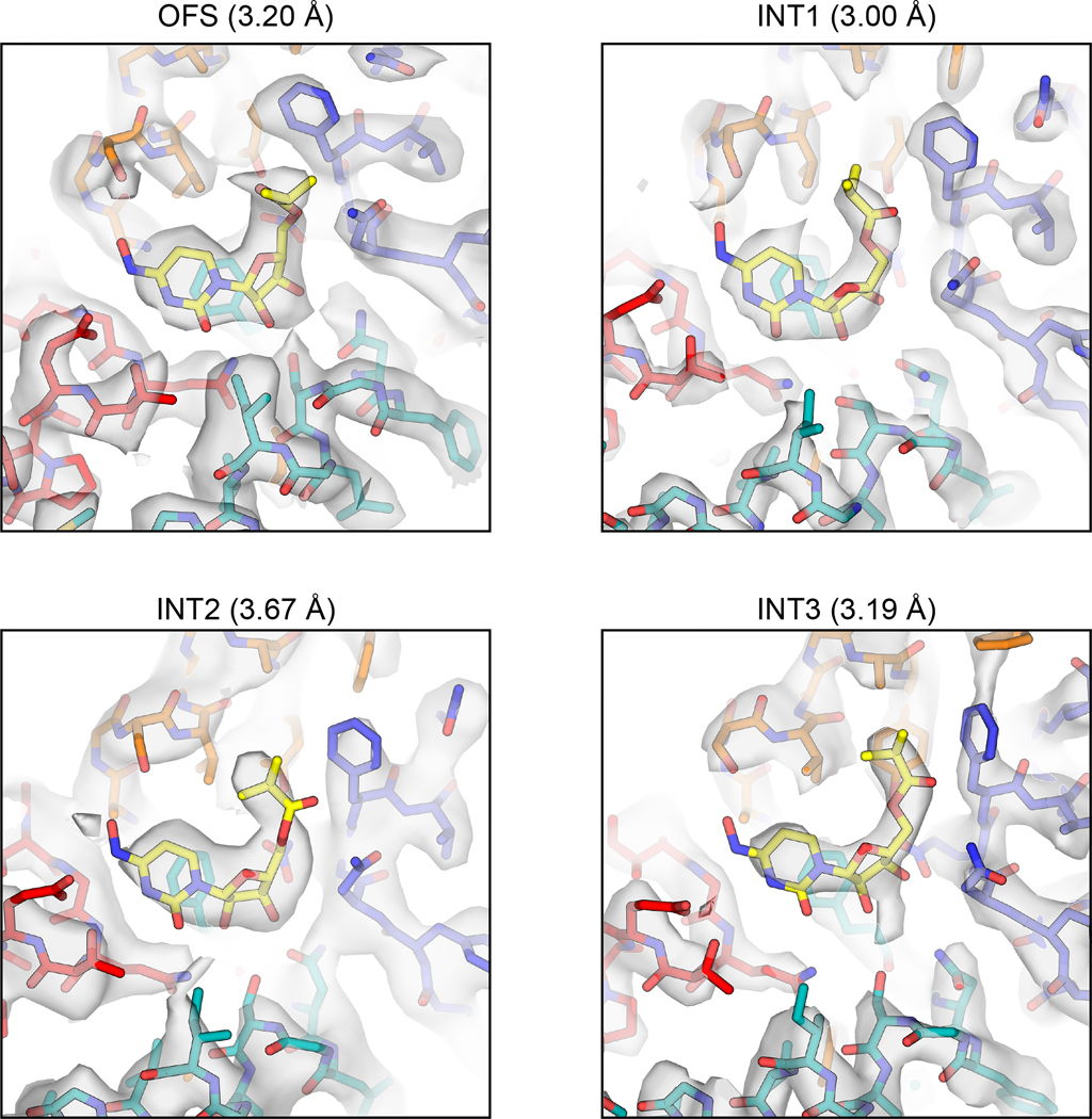 Extended Data Fig. 8