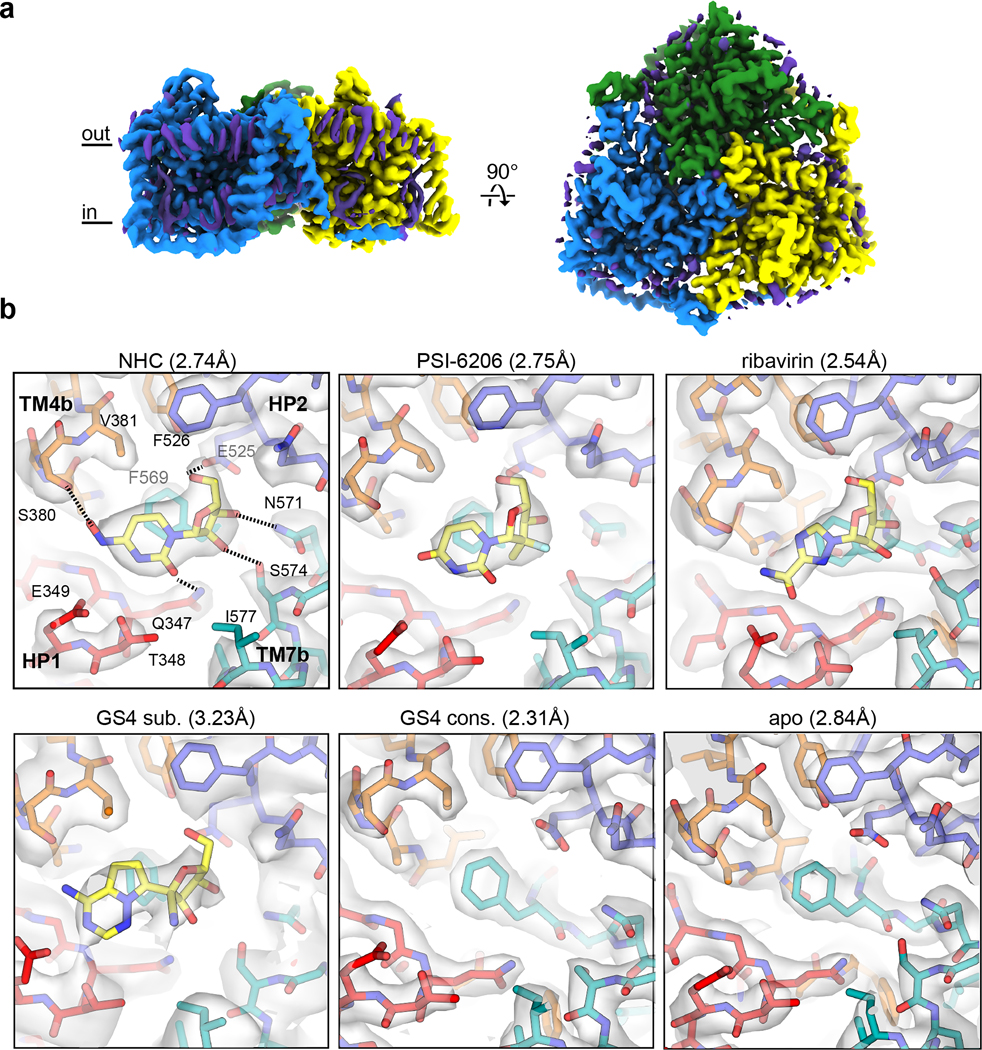 Figure 2 |