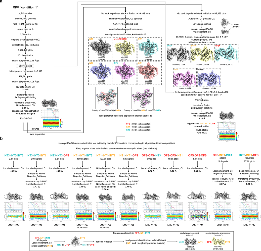 Extended Data Fig. 6