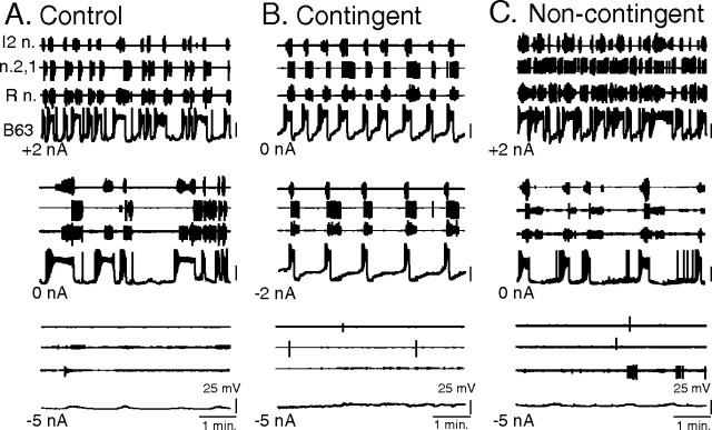 Figure 9.